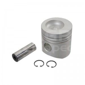 RE500210 Tłok Kpl.