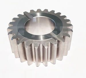 V31953800.jpg
