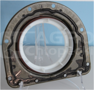 20031744B Uszczelniacz