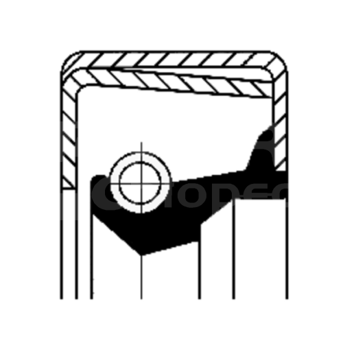01003371B.jpg