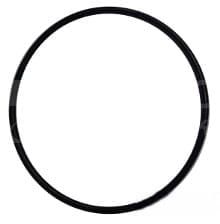 770008731 Oring