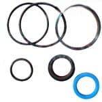 3904124M91 Zestaw naprawczy siłownika