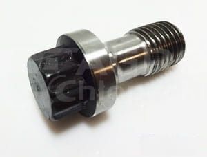 R81162 Śruba