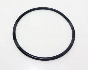 3000607X1 Oring