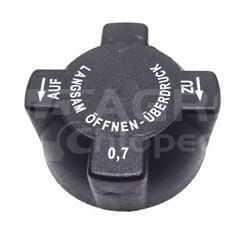 G198201050020 Korek chłodnicy