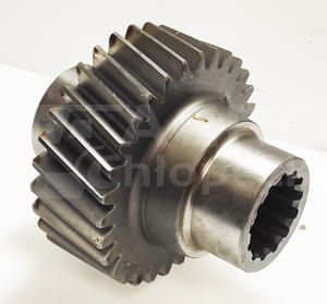 302555A1 Koło Zębate