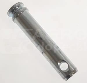 81801635 .jpg