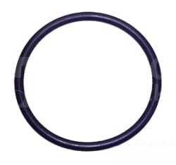 028548 Oring