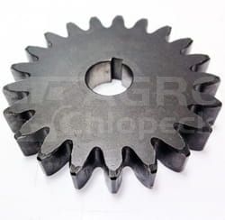 307839A1  Koło zębate