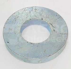 5100516.jpg