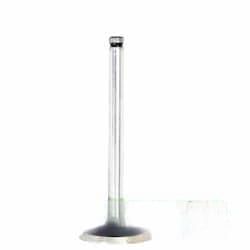 3142L071  Zawór Ssący