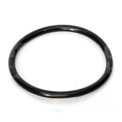 7700009018 Oring