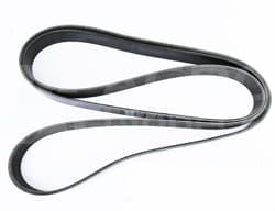 L169272 Pas Wielorowkowy