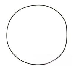 141939 Oring