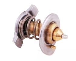 504221036 Wkład Termostatu