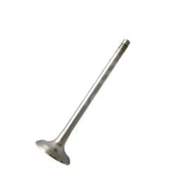 04159137 Zawór Wydechowy