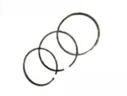 8915480000 Pierścienie STD NPR