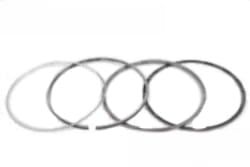 04174717 Pierścienie STD NPR