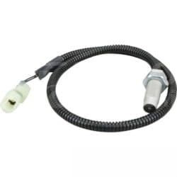 37 (2).jpg