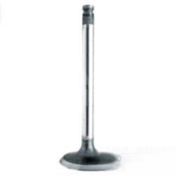 748413M1 Zawór Ssący