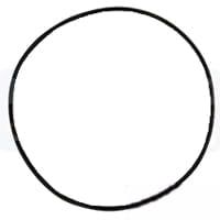 310824A1 Oring
