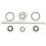 55355C91 Zestaw Uszczelnień siłownika skrętu
