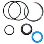 3900289M91 Zestaw naprawczy siłownika