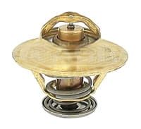 3059676R91 Termostat