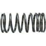 3639218M1 Sprężyna zaworu