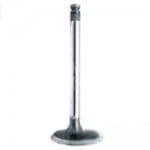 748413M1 Zawór ssący