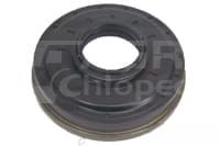 247534A1 Uszczelniacz