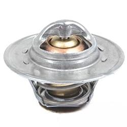 3042303R92 Termostat