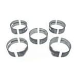 02192002 Panewki STD