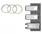 3218920R91 Pierścienie NPR STD