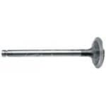 311756A1 Zawór ssący