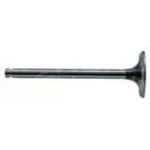 293753A1 Zawór wydechowy