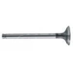 3118132R1 Zawór wydechowy