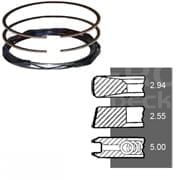 6005002647 Pierścienie Powerseal STD