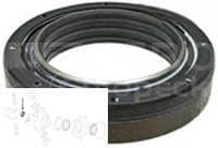 247519A1 Uszczelniacz