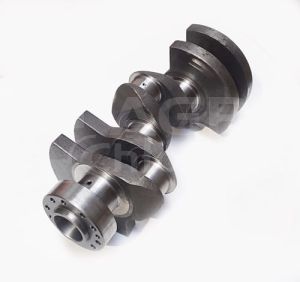 02931735 Wał Korbowy