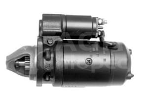 ms220.jpg