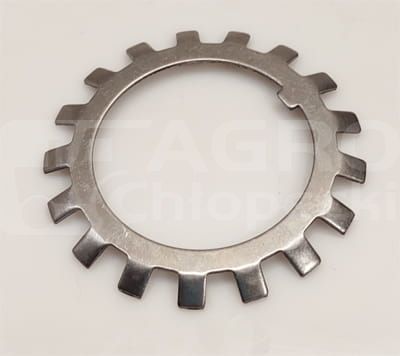 5131123.jpg