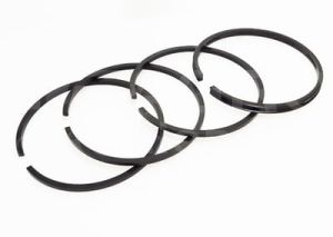 101.65.142 Pierścień