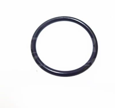 Oring 2.jpg