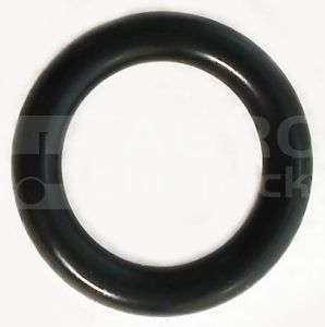0634303119 Oring
