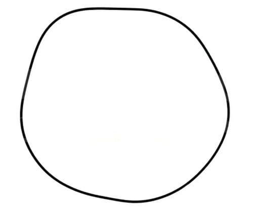 6005021972.jpg