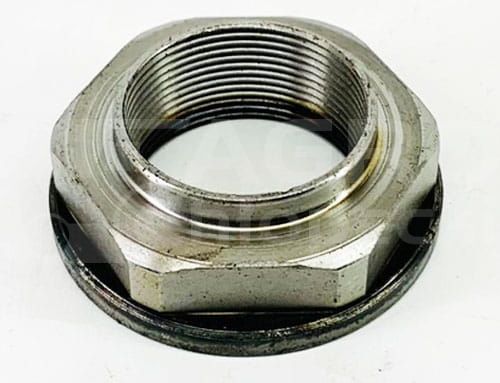 5180391.jpg