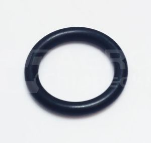 1000578M1 Oring