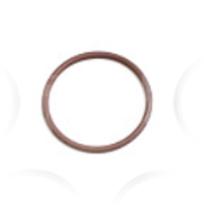 17289781 Oring OEM 
