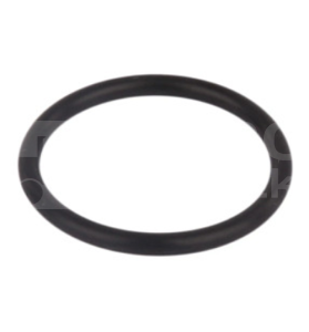 9672549 O-Ring OEM